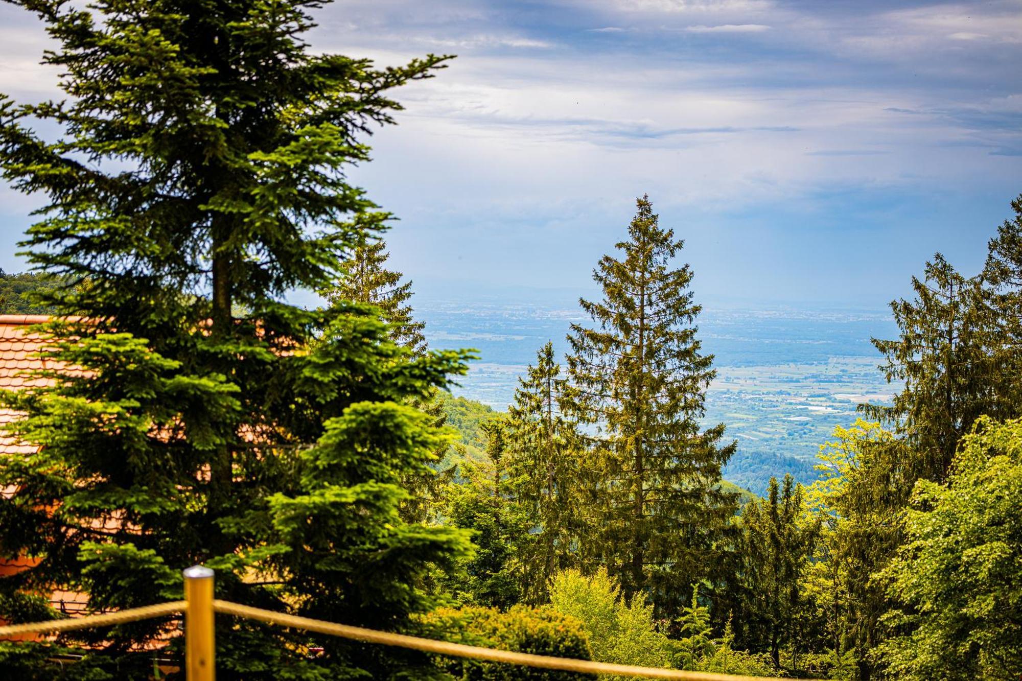 Sonnenhaeusle - Natur. Fernblick. Panorama-Sauna. Sasbachwalden Kültér fotó