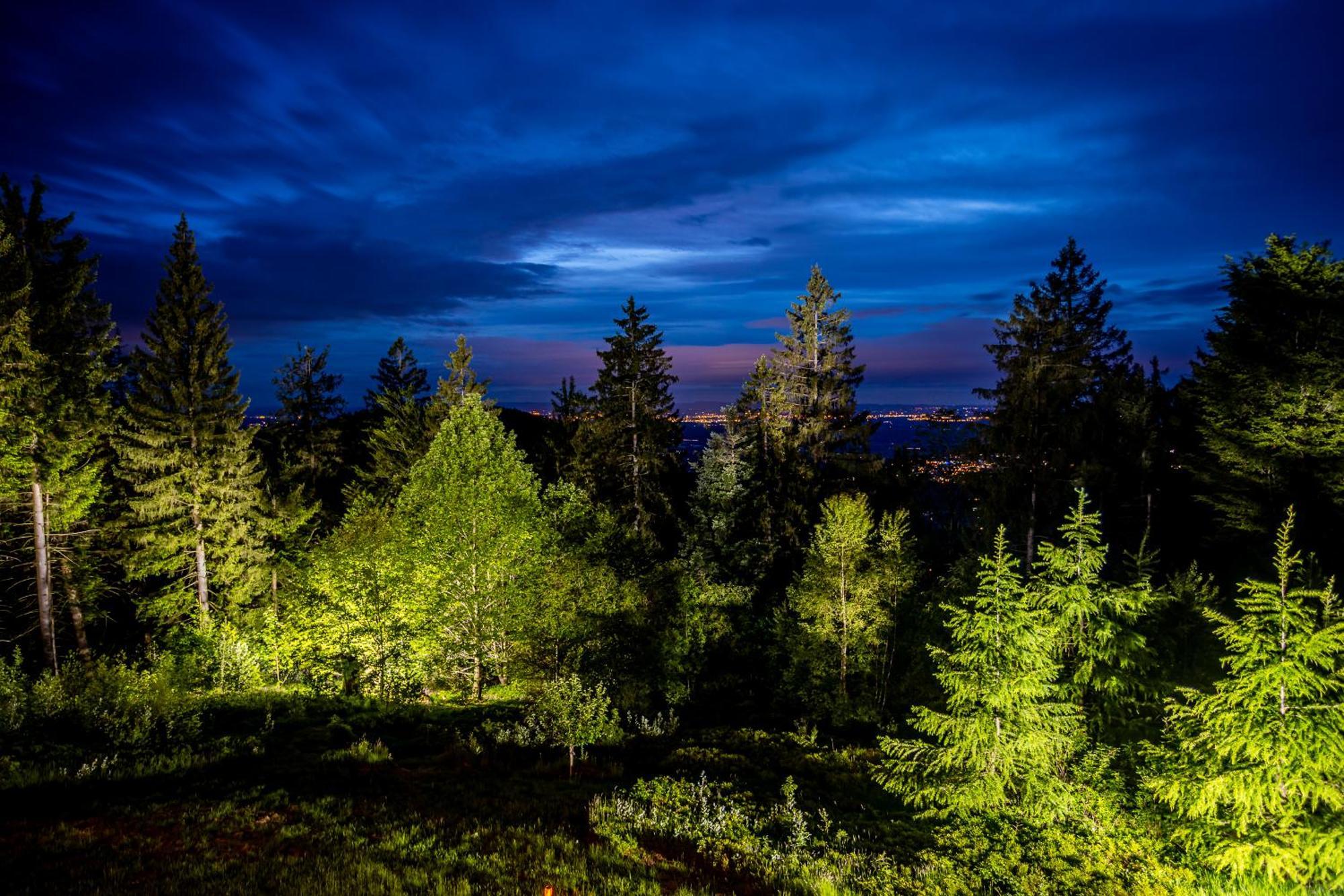 Sonnenhaeusle - Natur. Fernblick. Panorama-Sauna. Sasbachwalden Kültér fotó