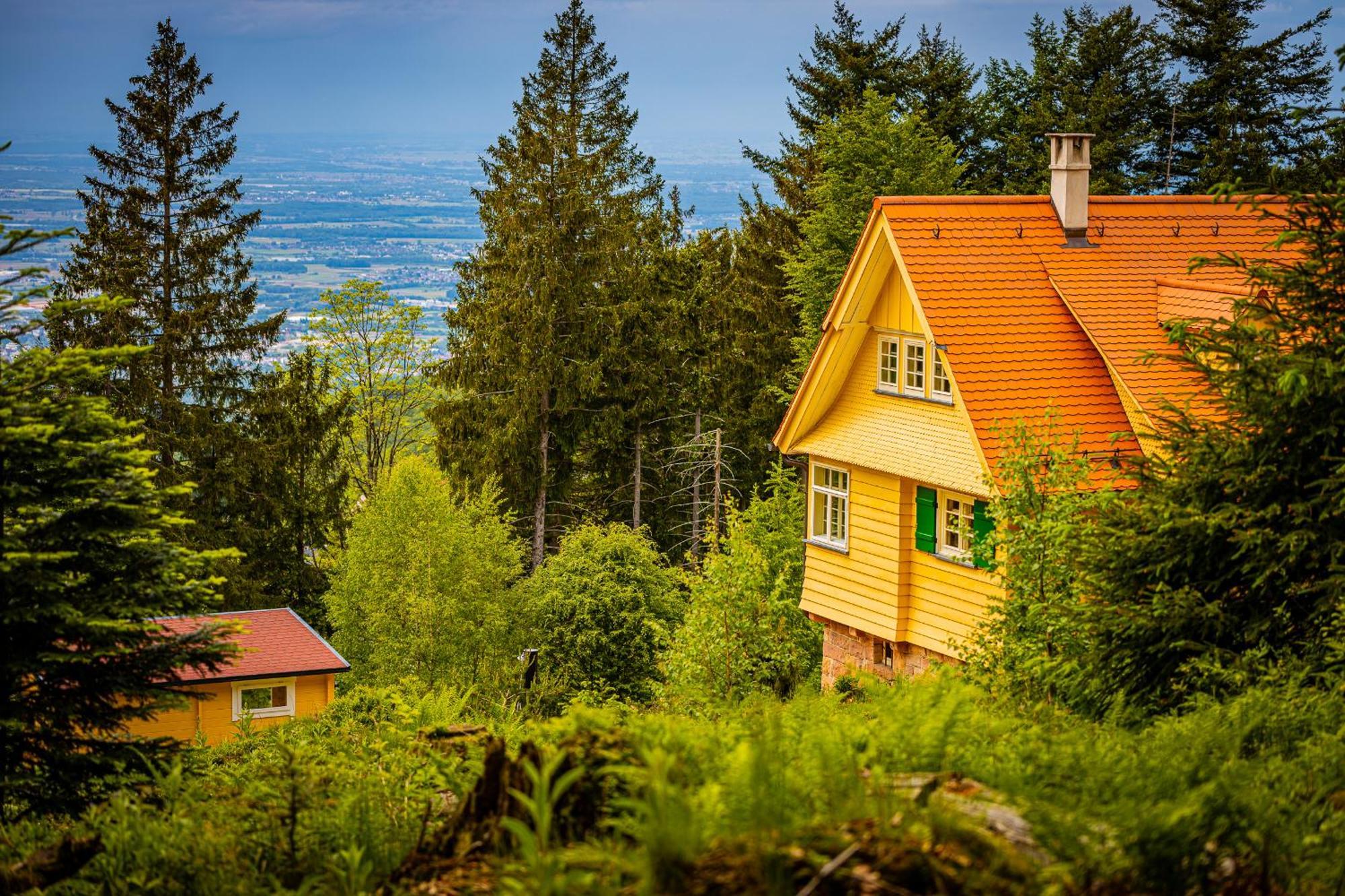 Sonnenhaeusle - Natur. Fernblick. Panorama-Sauna. Sasbachwalden Kültér fotó