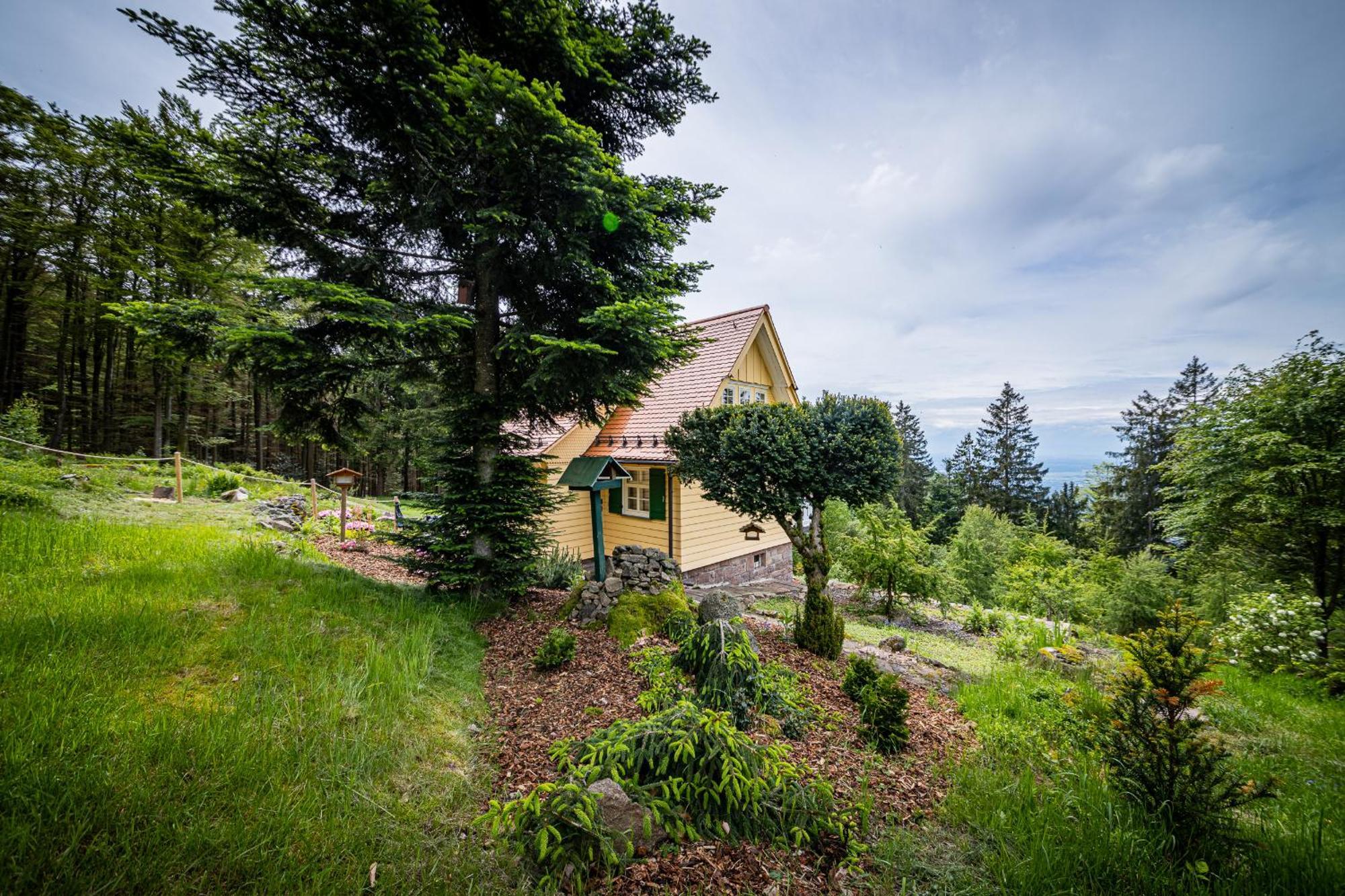 Sonnenhaeusle - Natur. Fernblick. Panorama-Sauna. Sasbachwalden Kültér fotó