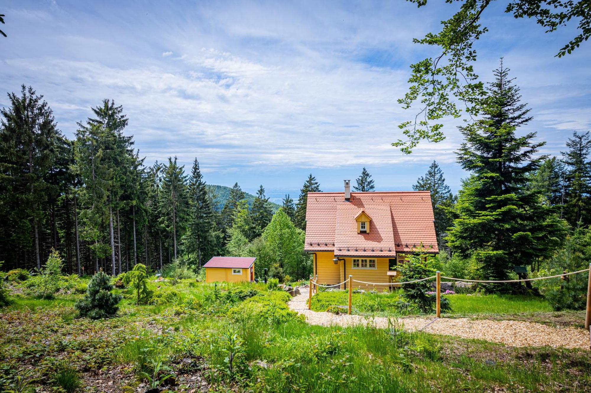 Sonnenhaeusle - Natur. Fernblick. Panorama-Sauna. Sasbachwalden Kültér fotó