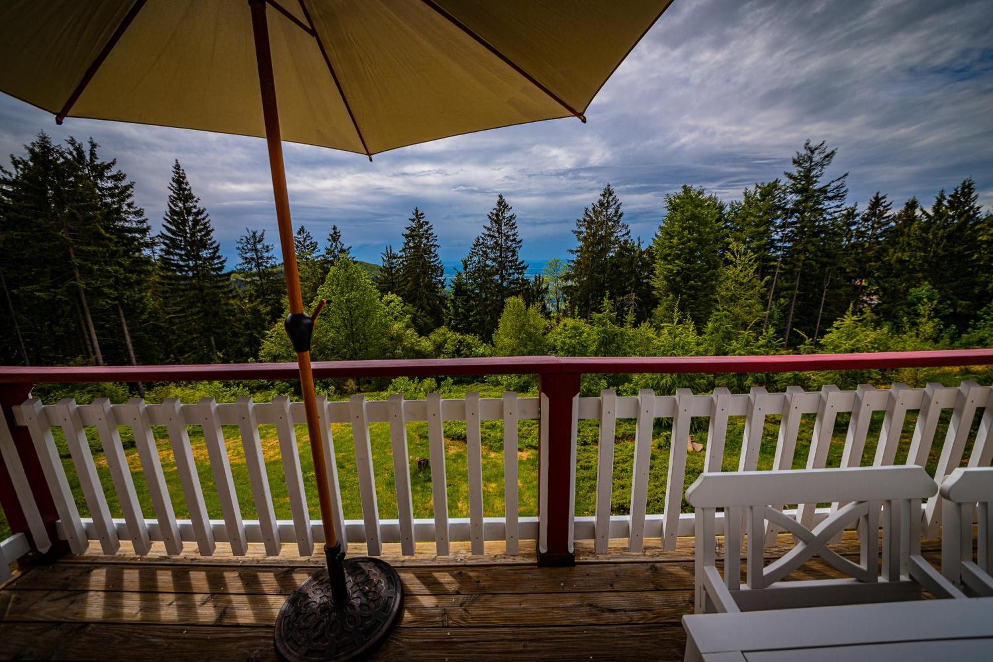 Sonnenhaeusle - Natur. Fernblick. Panorama-Sauna. Sasbachwalden Kültér fotó