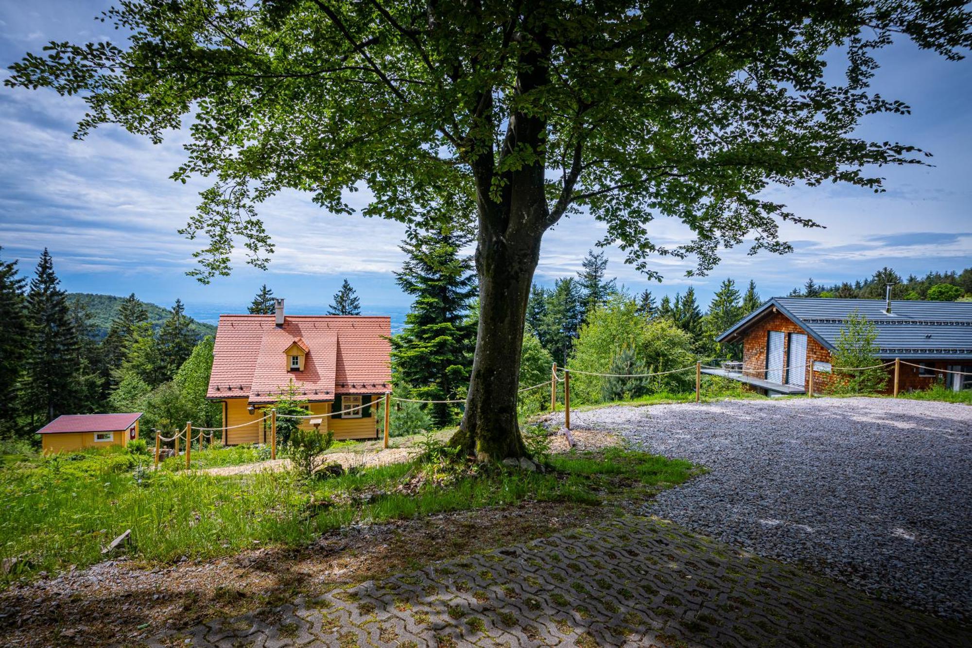 Sonnenhaeusle - Natur. Fernblick. Panorama-Sauna. Sasbachwalden Kültér fotó